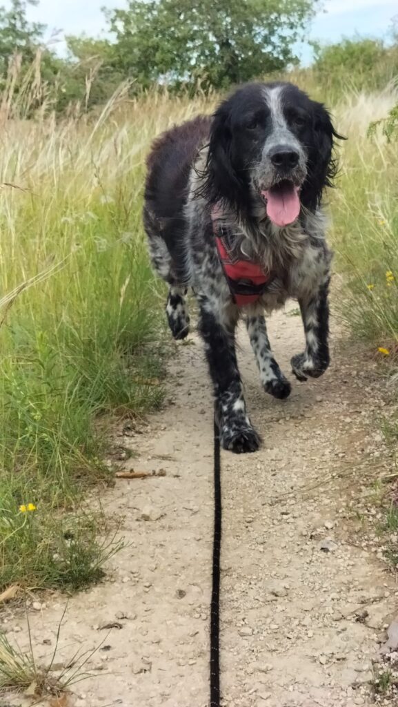 whatsapp image 2025 05 25 at 19.30.06