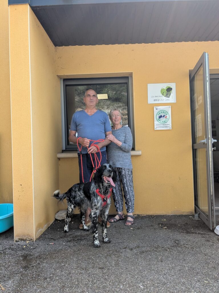 whatsapp image 2025 06 07 at 19.01.36