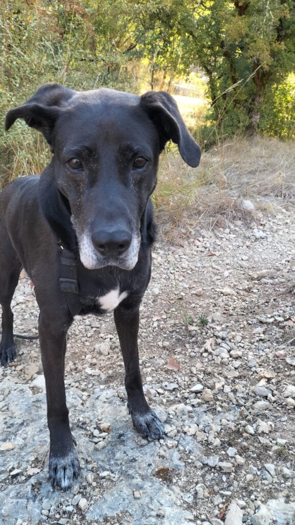 whatsapp image 2025 08 23 at 14.30.36