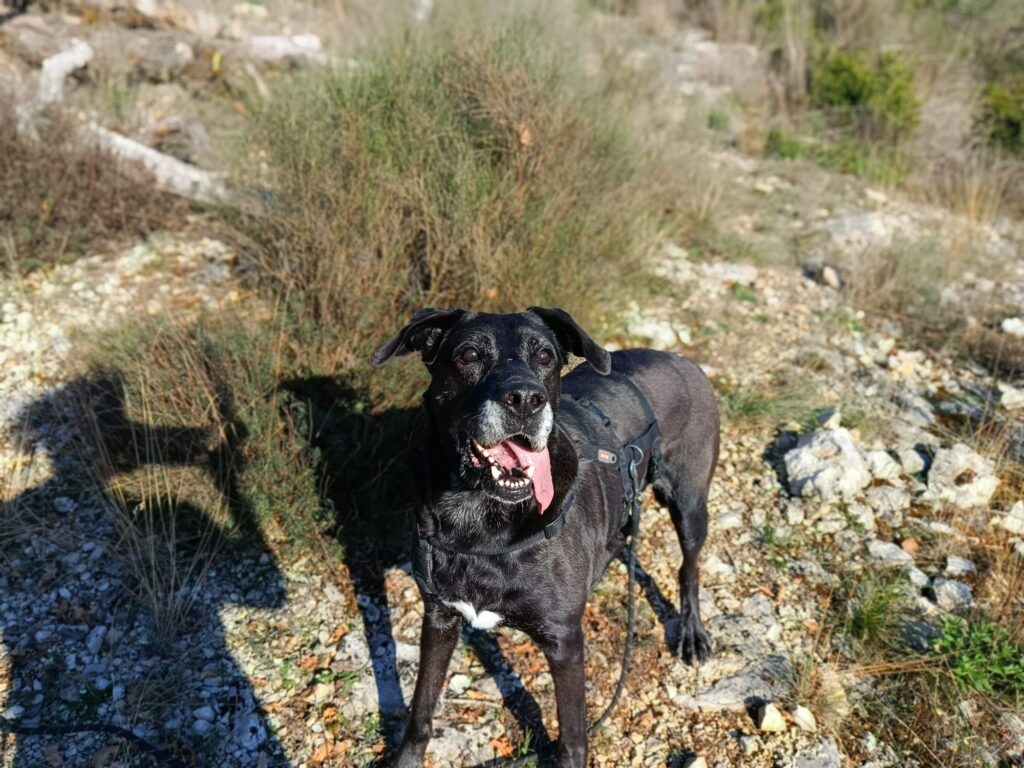 whatsapp image 2025 10 17 at 18.16.43 (2)