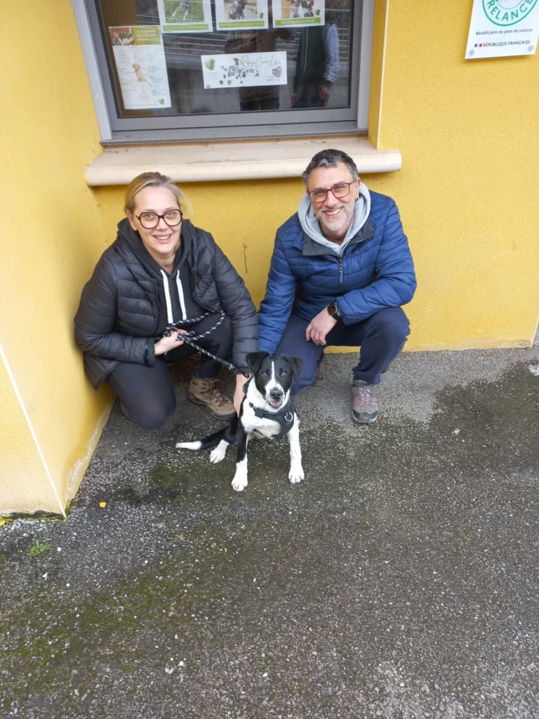 chien adopté au refuge canin lotois