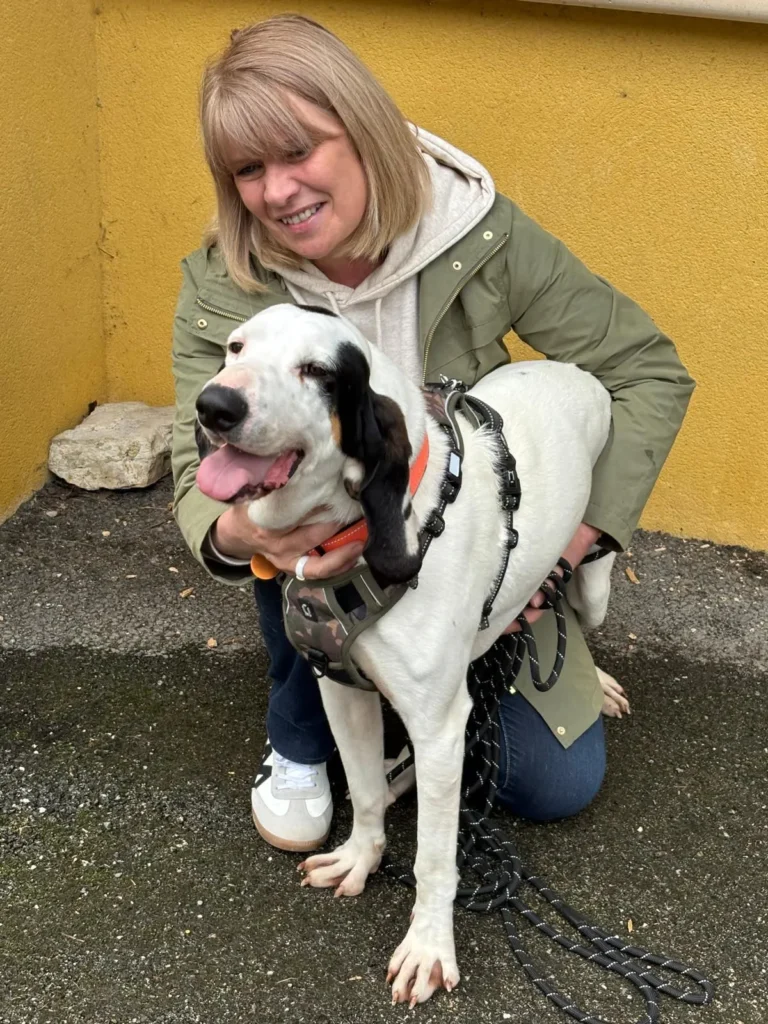 chien adopté au refuge canin lotois