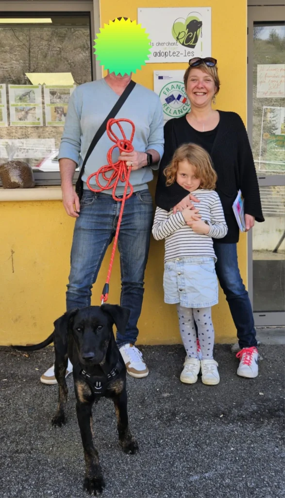 chien adopté au refuge canin lotois