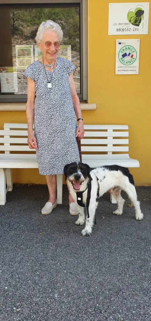 chien adopté dans le lot 46