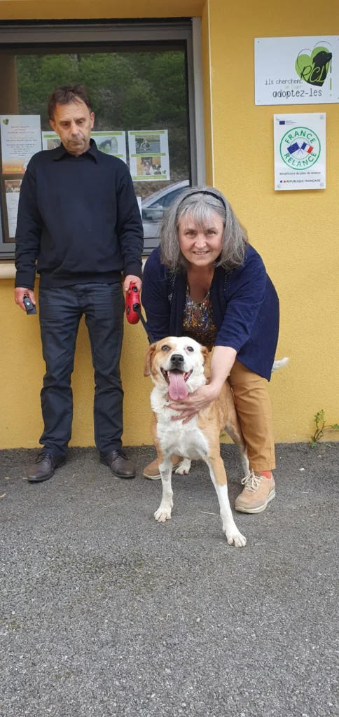 chien adopté dans le lot 46