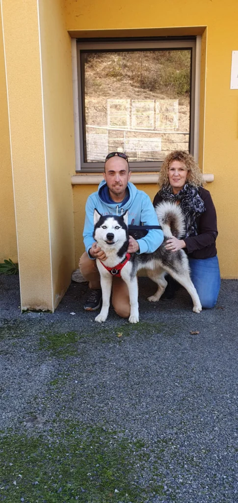 chien adopté au refuge canin lotois