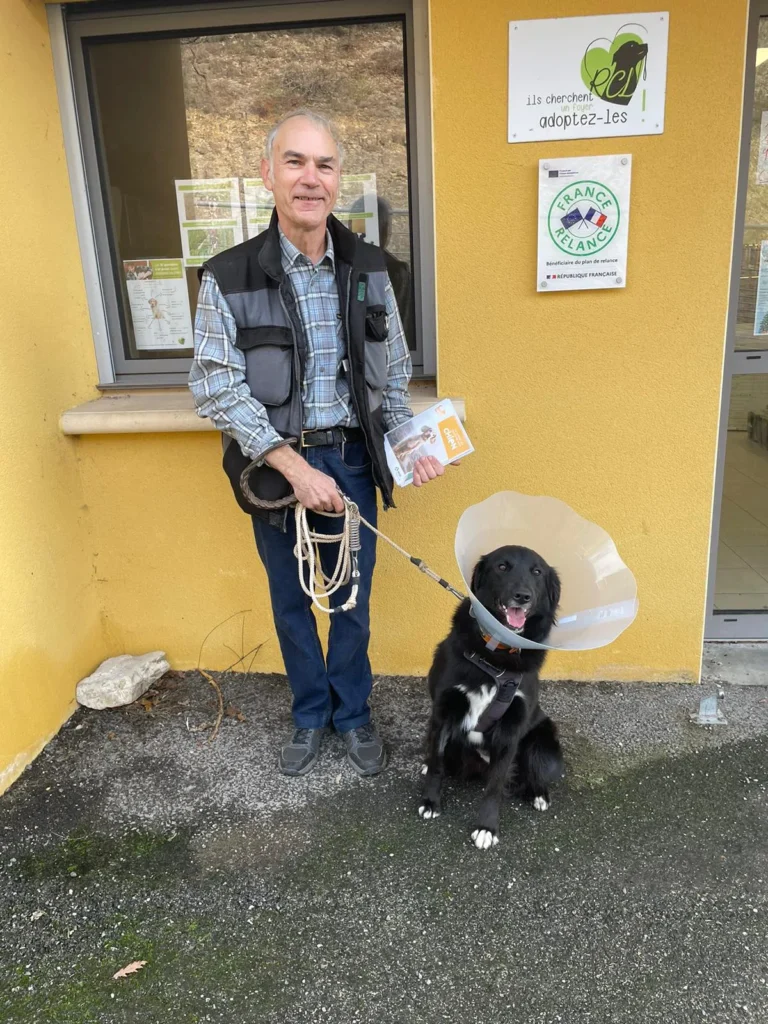 chien adopté au refuge canin lotois