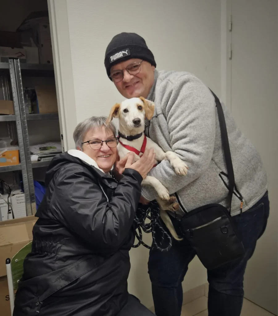 chien adopté au refuge canin lotois