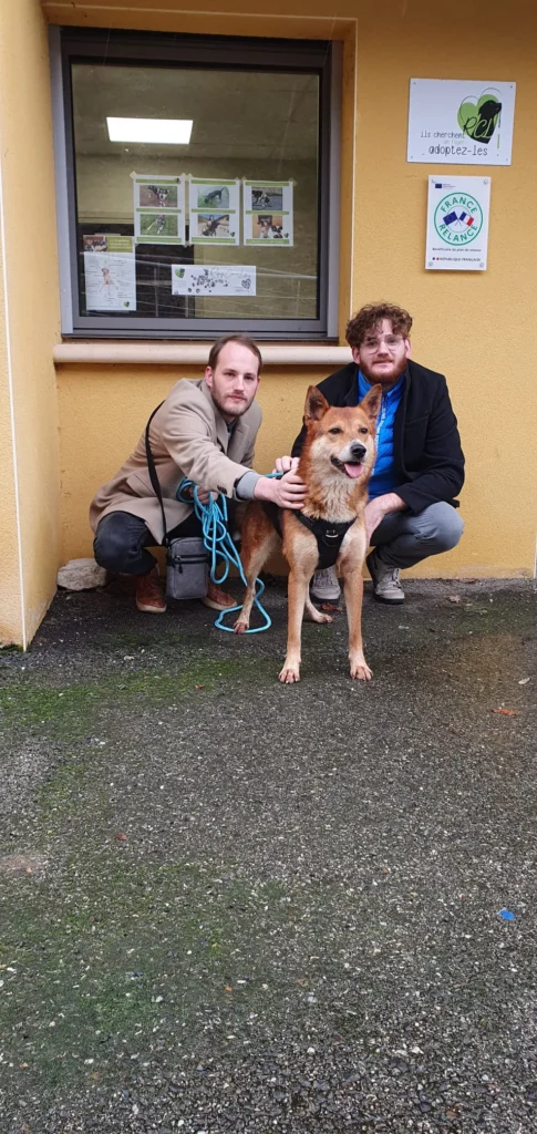 chien adopté au refuge canin lotois