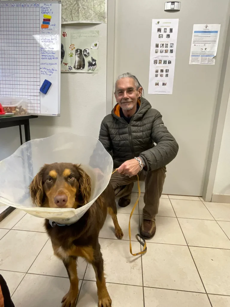 chien adopté au refuge canin lotois