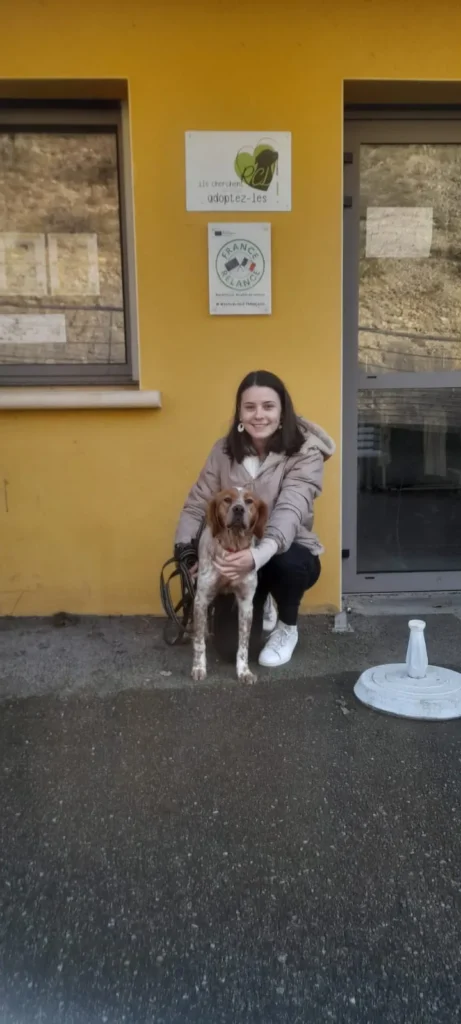 chien adopté au refuge canin lotois
