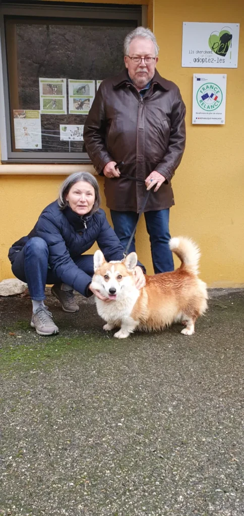 chien adopté au refuge canin lotois