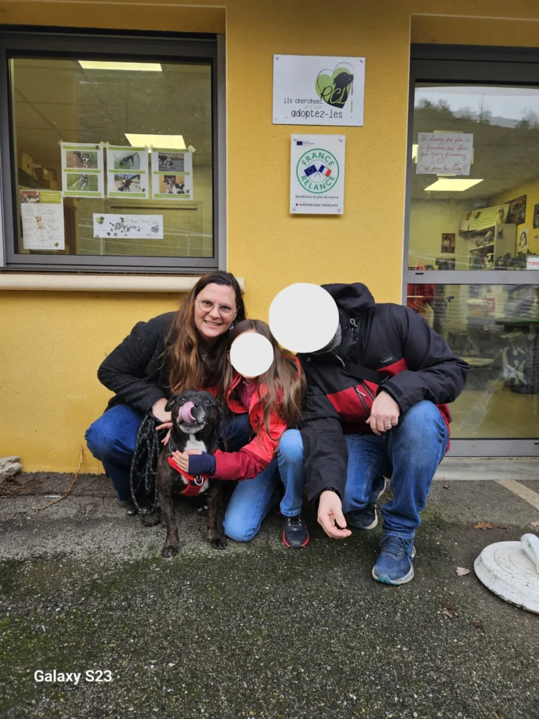 chien adopté au refuge canin lotois