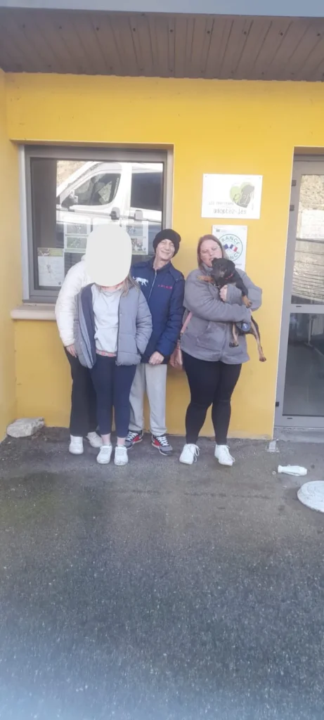 chien adopté au refuge canin lotois