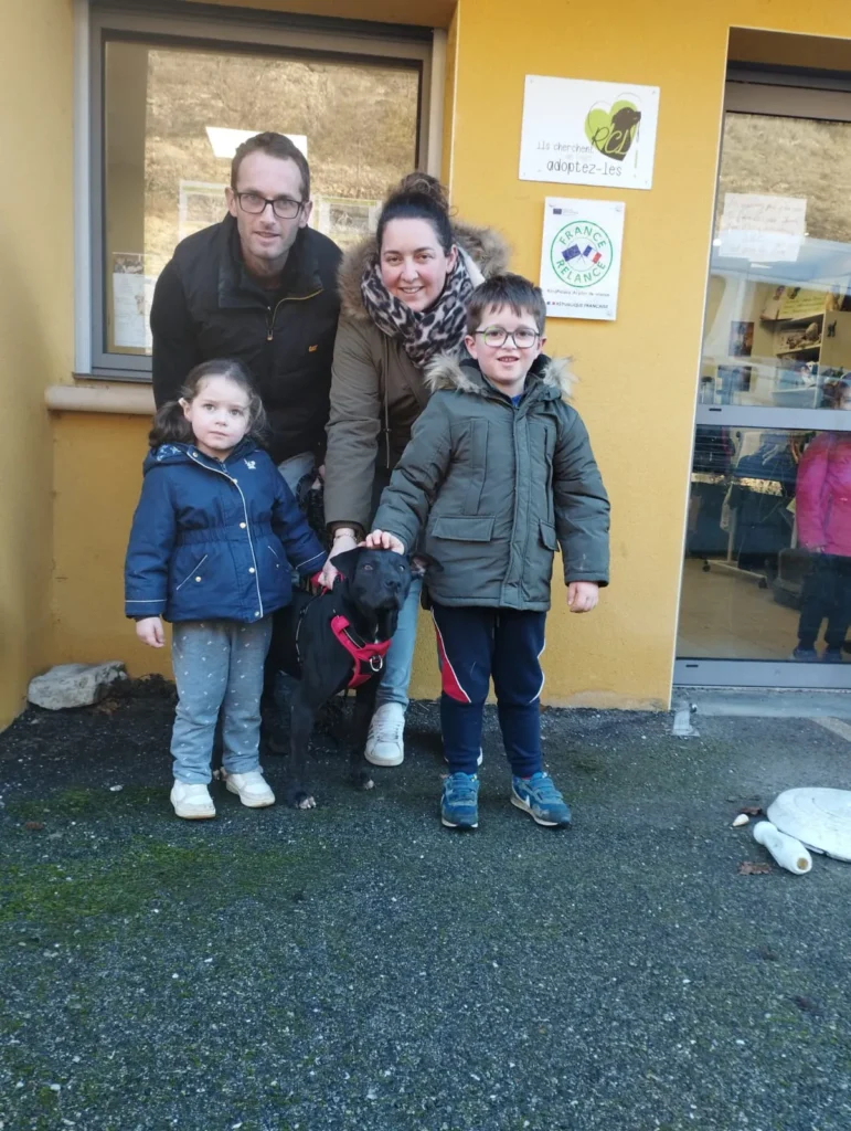 chien adopté au refuge canin lotois