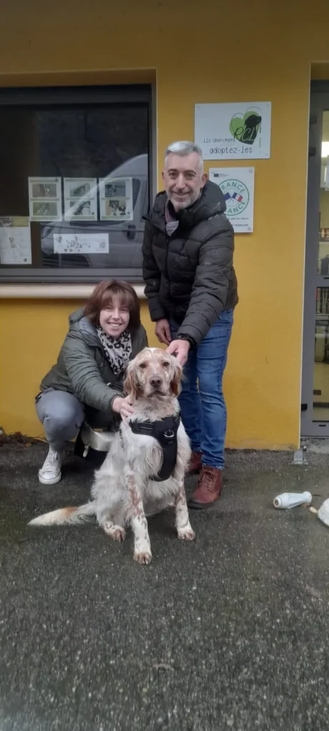 chien adopté au refuge canin lotois