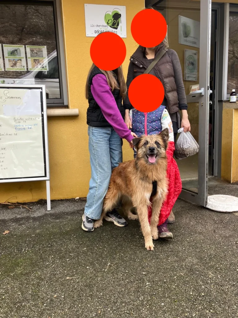chien adopté au refuge canin lotois