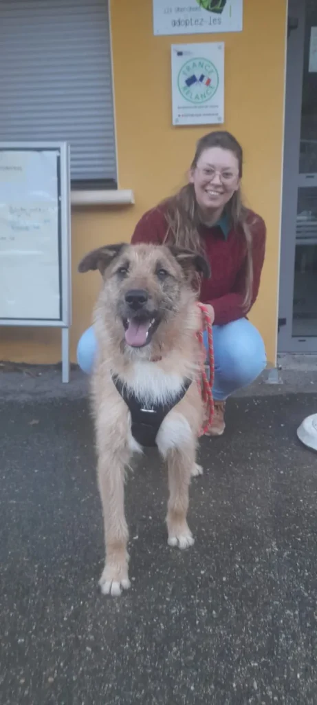 chien adopté au refuge canin lotois