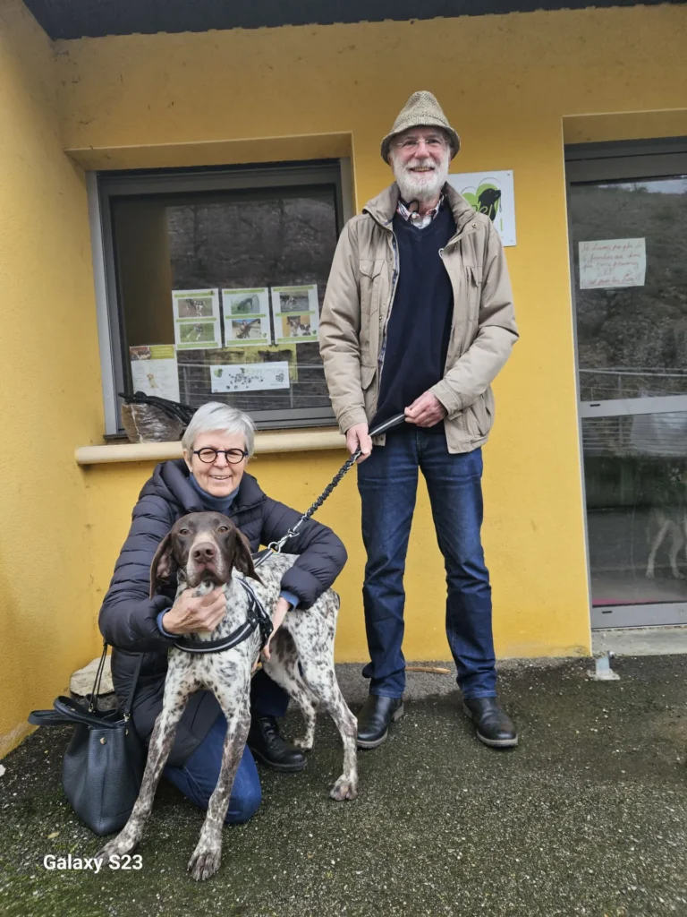 chien adopté au refuge canin lotois