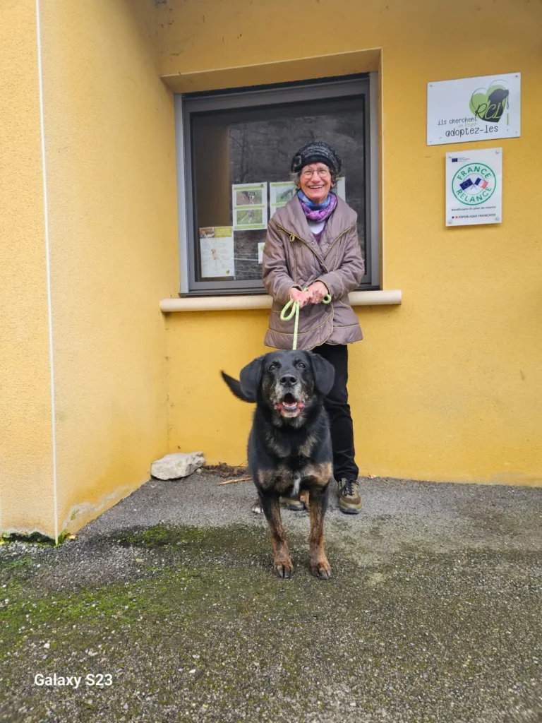 chien adopté au refuge canin lotois
