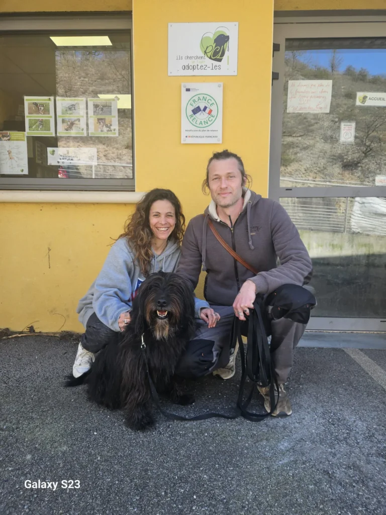 chien adopté au refuge canin lotois