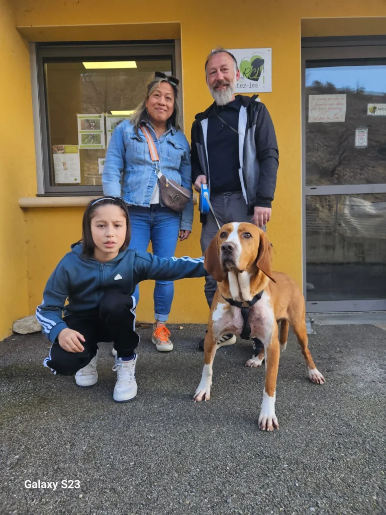 chien adopté au refuge canin lotois