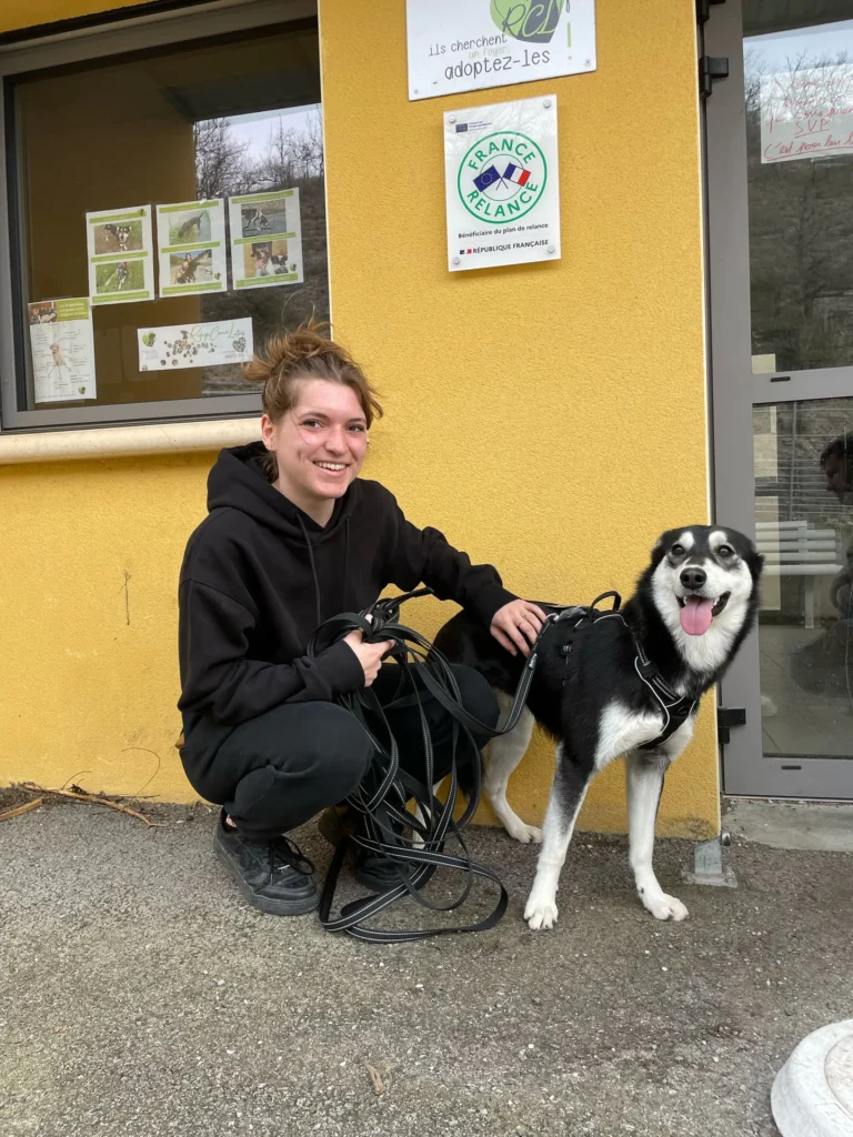 chien adopté au refuge canin lotois