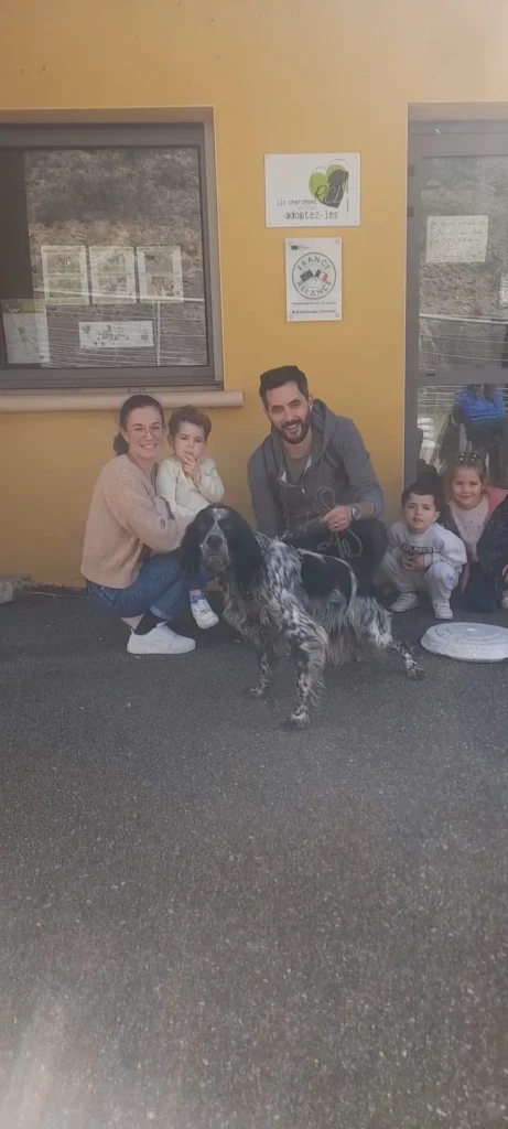 chien adopté au refuge canin lotois