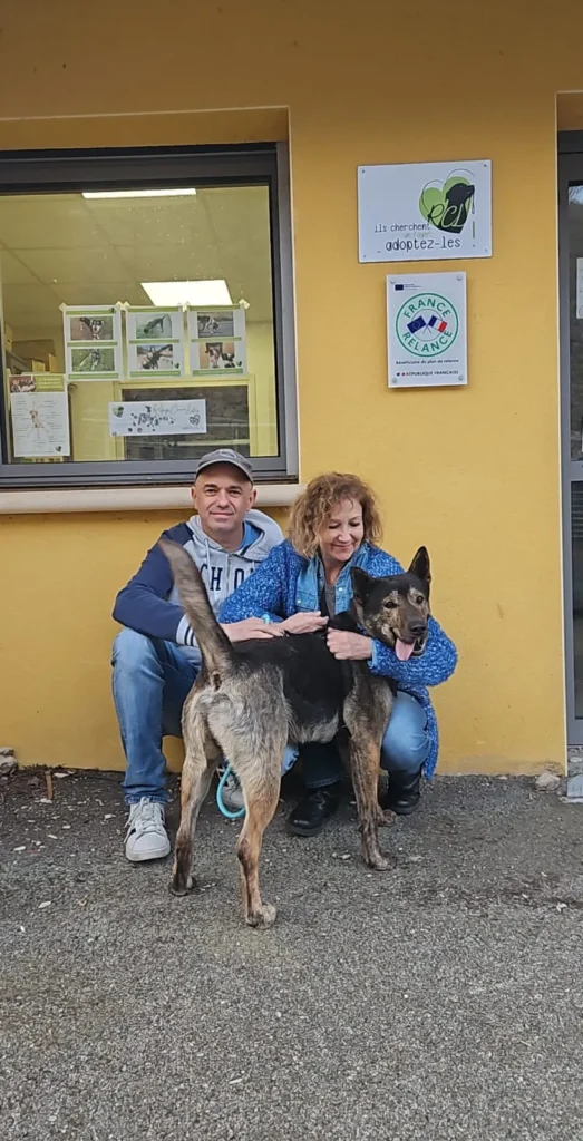 chien adopté au refuge canin lotois