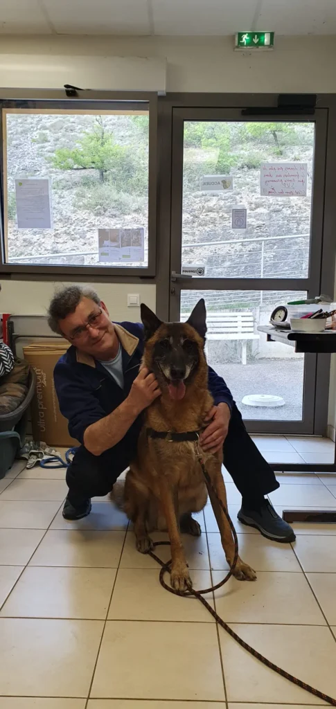 chien adopté au refuge canin lotois