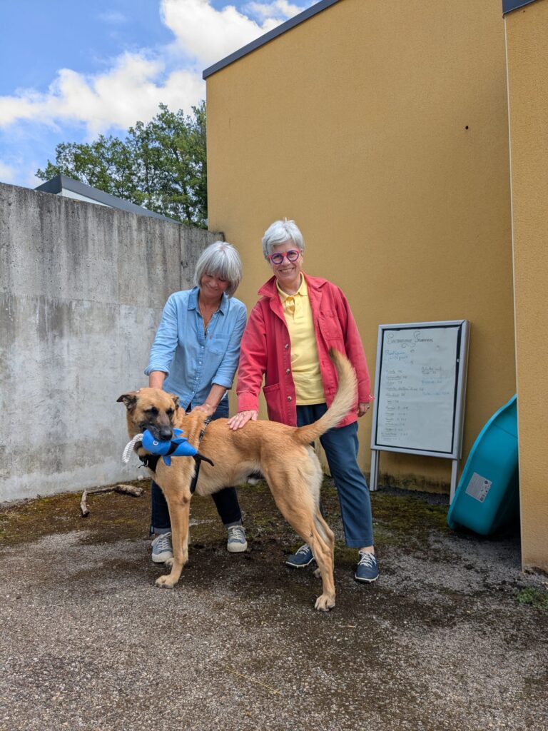 whatsapp image 2025 06 07 at 19.01.43