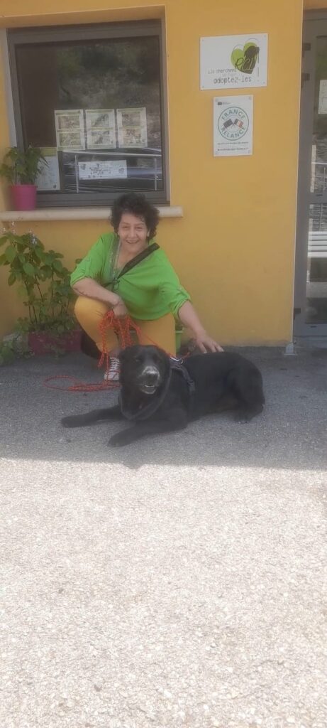 whatsapp image 2025 06 23 at 15.10.24