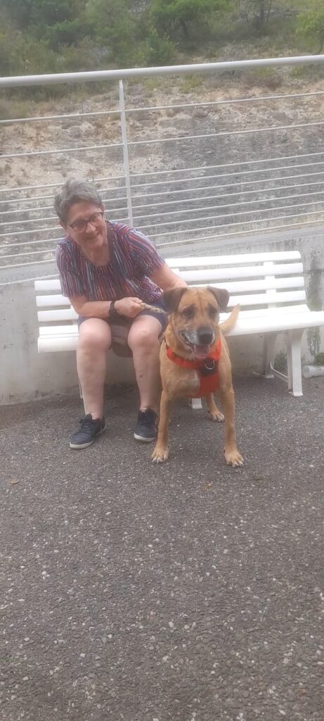 whatsapp image 2025 06 25 at 17.40.18