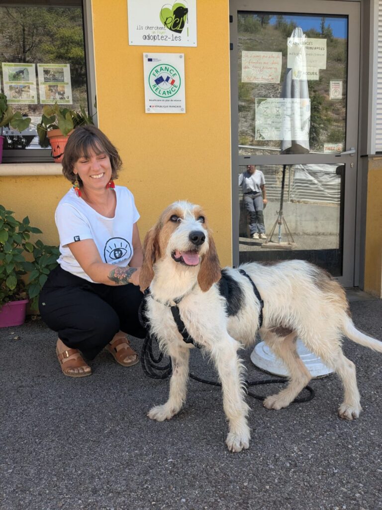 whatsapp image 2025 07 10 at 18.12.42