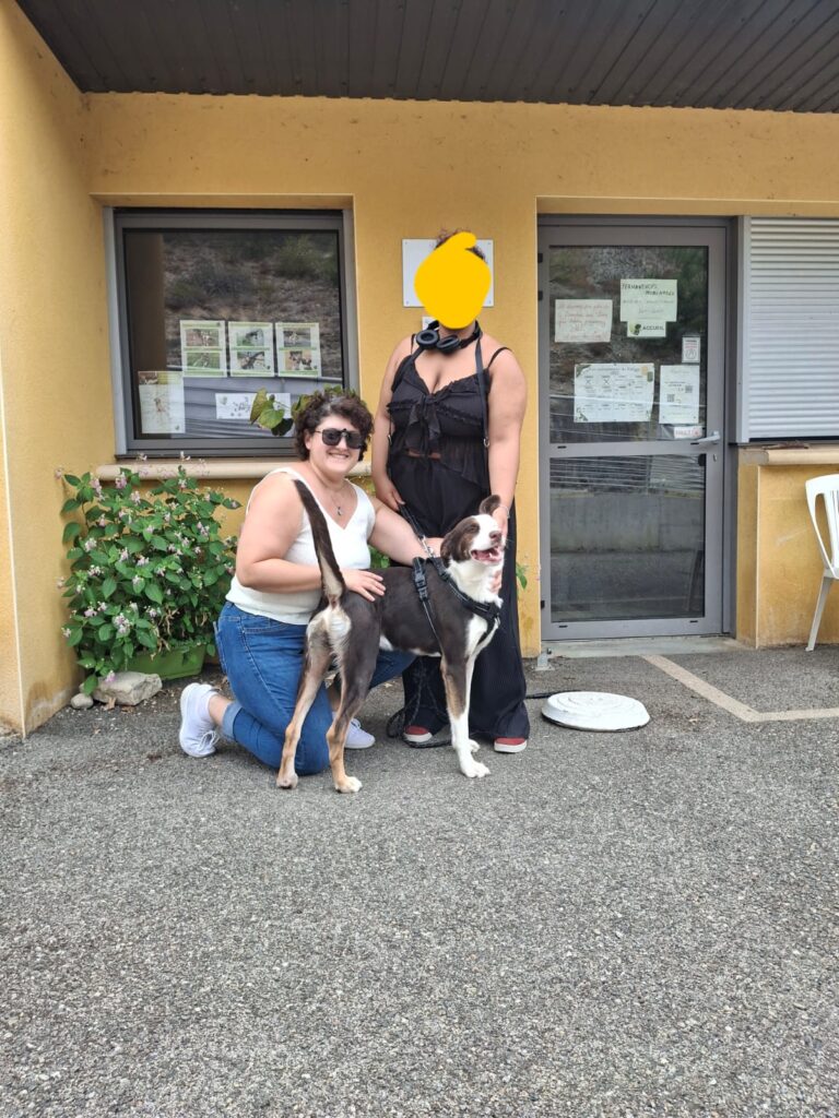 whatsapp image 2025 08 25 at 16.08.50