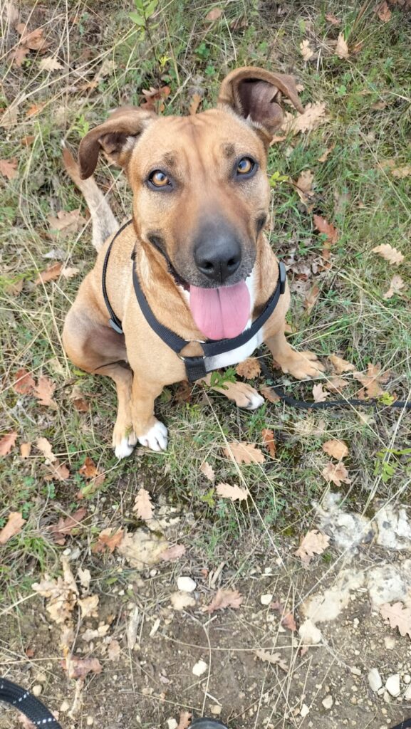 whatsapp image 2025 09 10 at 14.21.47