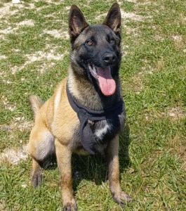 capture d’écran 2025 06 13 à 20.32.57