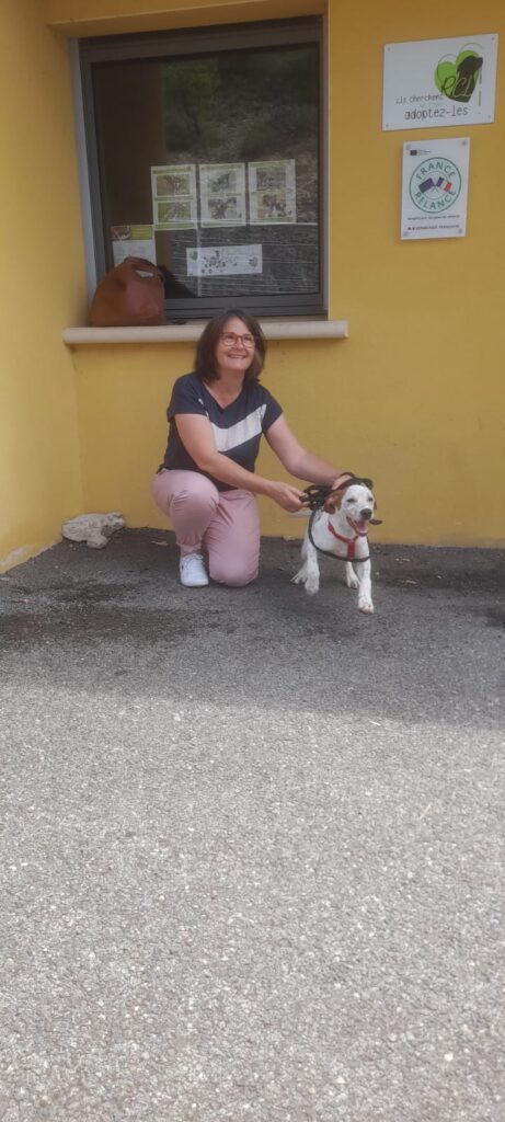 whatsapp image 2025 06 07 at 18.56.01