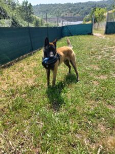 whatsapp image 2025 06 13 at 16.16.51 (1)