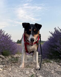 whatsapp image 2025 06 22 at 22.16.14