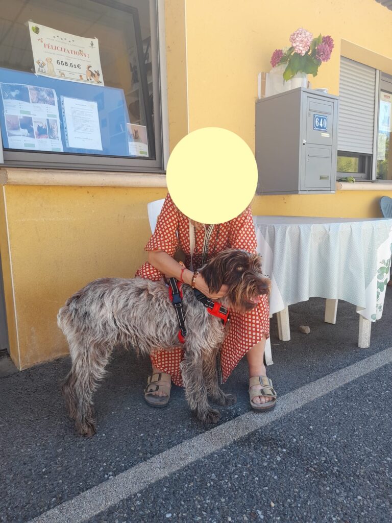 whatsapp image 2025 06 29 at 10.02.01