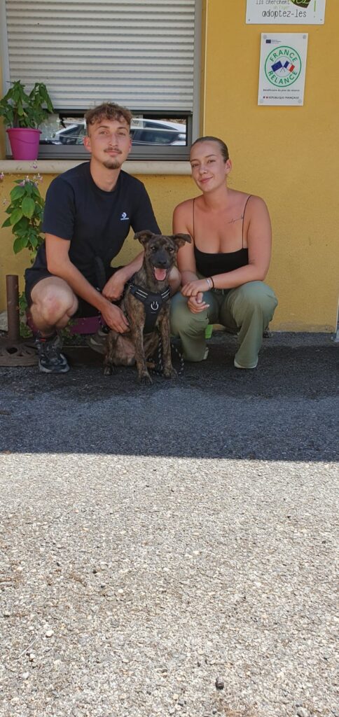 whatsapp image 2025 07 01 at 07.48.37