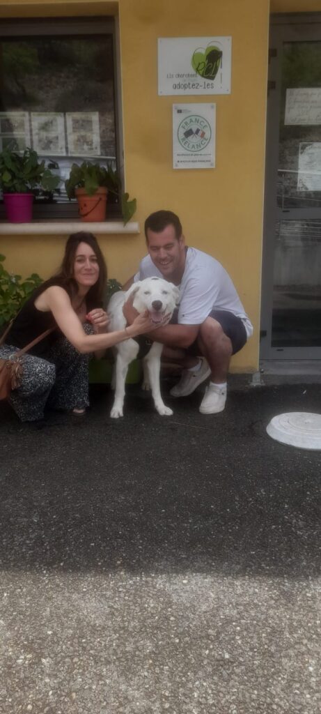 whatsapp image 2025 07 09 at 13.14.34