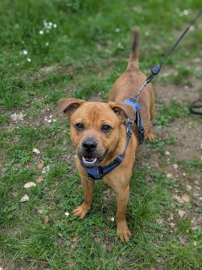 whatsapp image 2025 04 20 at 17.36.51