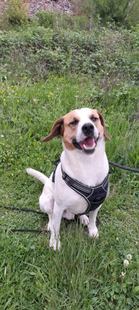 whatsapp image 2025 05 07 at 20.07.43 (1)