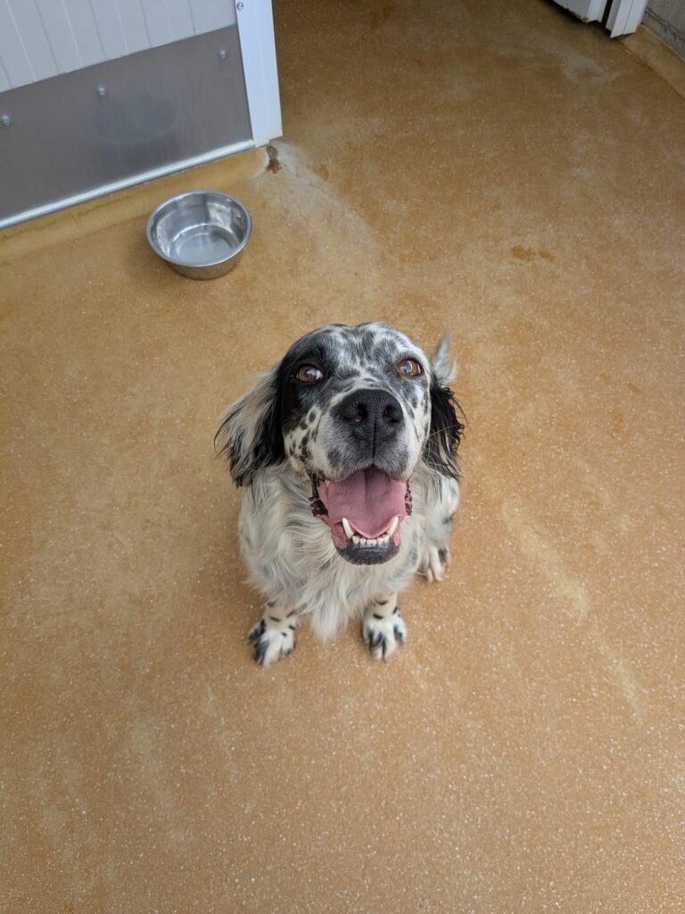 whatsapp image 2025 06 25 at 19.35.31