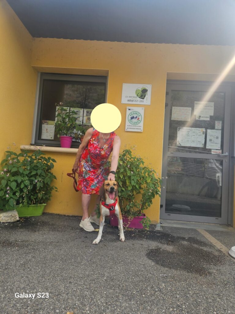 whatsapp image 2025 08 14 at 16.47.33