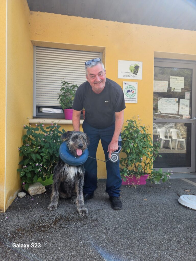 whatsapp image 2025 08 14 at 16.49.28