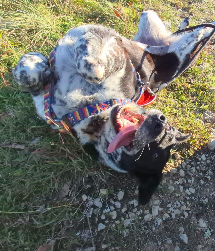 whatsapp image 2025 10 11 at 19.34.34 (2)