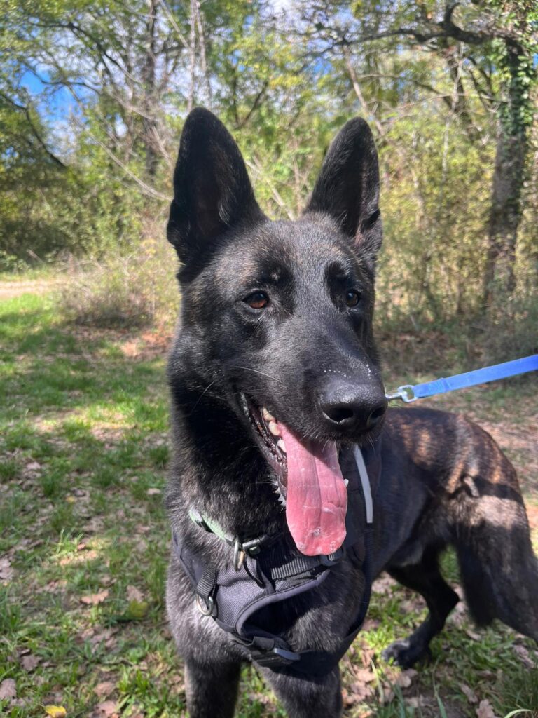 whatsapp image 2025 10 05 at 17.43.48